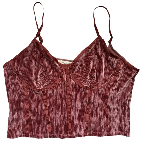 Anthro Blue Tassel Corset Seamed Cami Top Crushed Velvet Spaghetti Straps Large - Picture 5 of 12